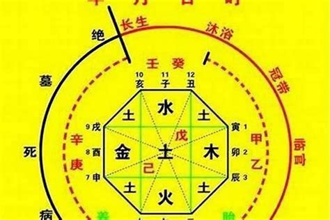 八字喜忌查询|八字喜用神在线查询器,在线查五行喜神忌神